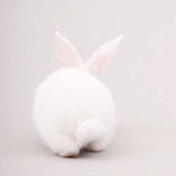 Rabbits (243).jpg