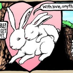 Rabbits (244).jpg