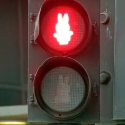 Rabbits (246).jpg