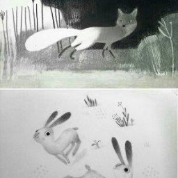 Rabbits (251).jpg