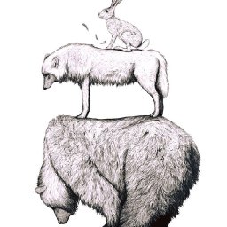 Rabbits (253).jpg