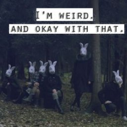 Rabbits (263).jpg
