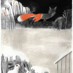 Rabbits (271).jpg