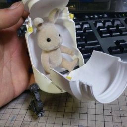 Rabbits (272).jpg