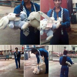 Rabbits (274).jpg