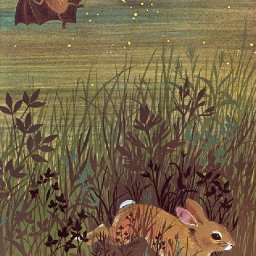 Rabbits (314).jpg