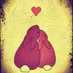 Rabbits (316).jpg