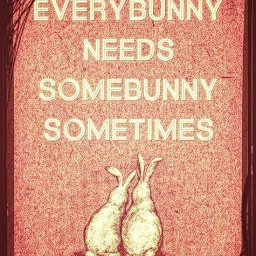 Rabbits (326).jpg