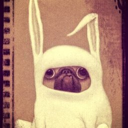 Rabbits (328).jpg