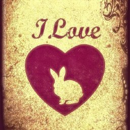Rabbits (329).jpg