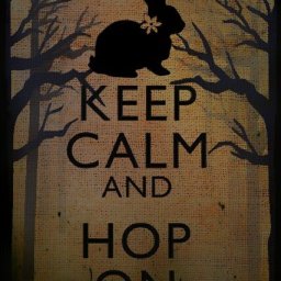 Rabbits (343).jpg