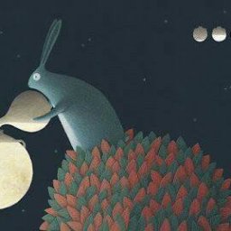 Rabbits (345).jpg