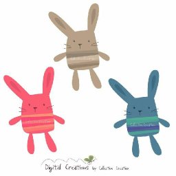 Rabbits (352).jpg