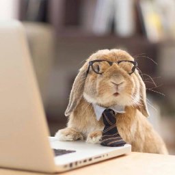 Rabbits (363).jpg