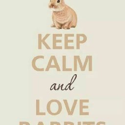 Rabbits (379).jpg