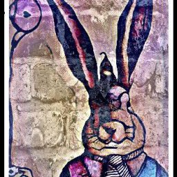 Rabbits (381).jpg