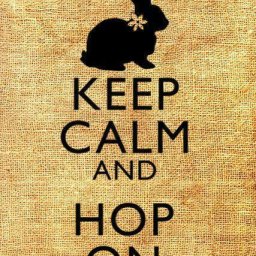 Rabbits (382).jpg