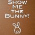 Bunnies