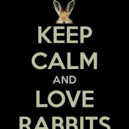 Rabbits (388).jpg
