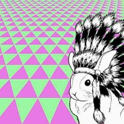 Rabbits (410).jpg