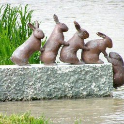 Rabbits (411).jpg
