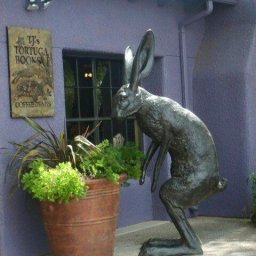 Rabbits (418).jpg