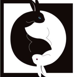 Rabbits (422).jpg