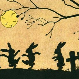 Rabbits (429).jpg
