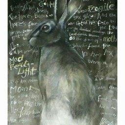 Rabbits (436).jpg