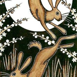Rabbits (446).jpg