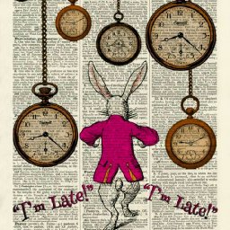 Rabbits (448).jpg