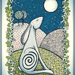 Rabbits (455).jpg