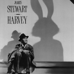Rabbits (460).jpg