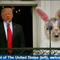 Rabbits (473).jpg