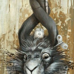 Rabbits (479).jpg