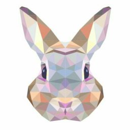 Rabbits (486).jpg