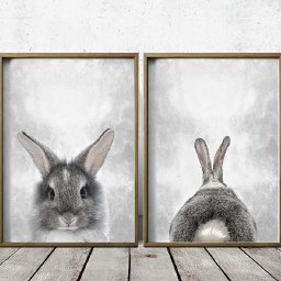 Rabbits (495).jpg