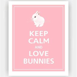 Rabbits (505).jpg