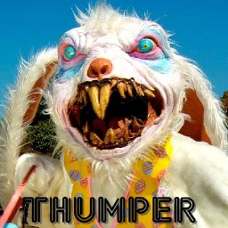 Thumper