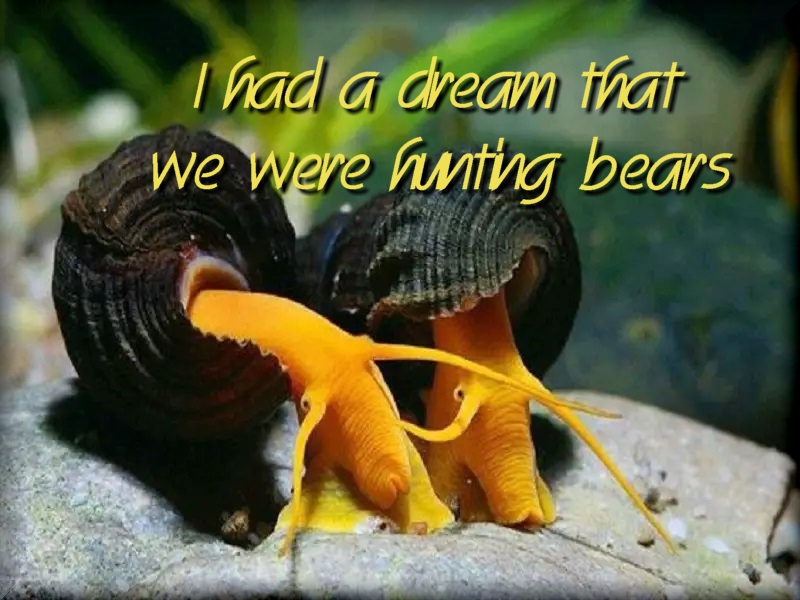 Rabbit Snail Dreams.jpg