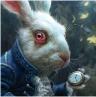 White Rabbit